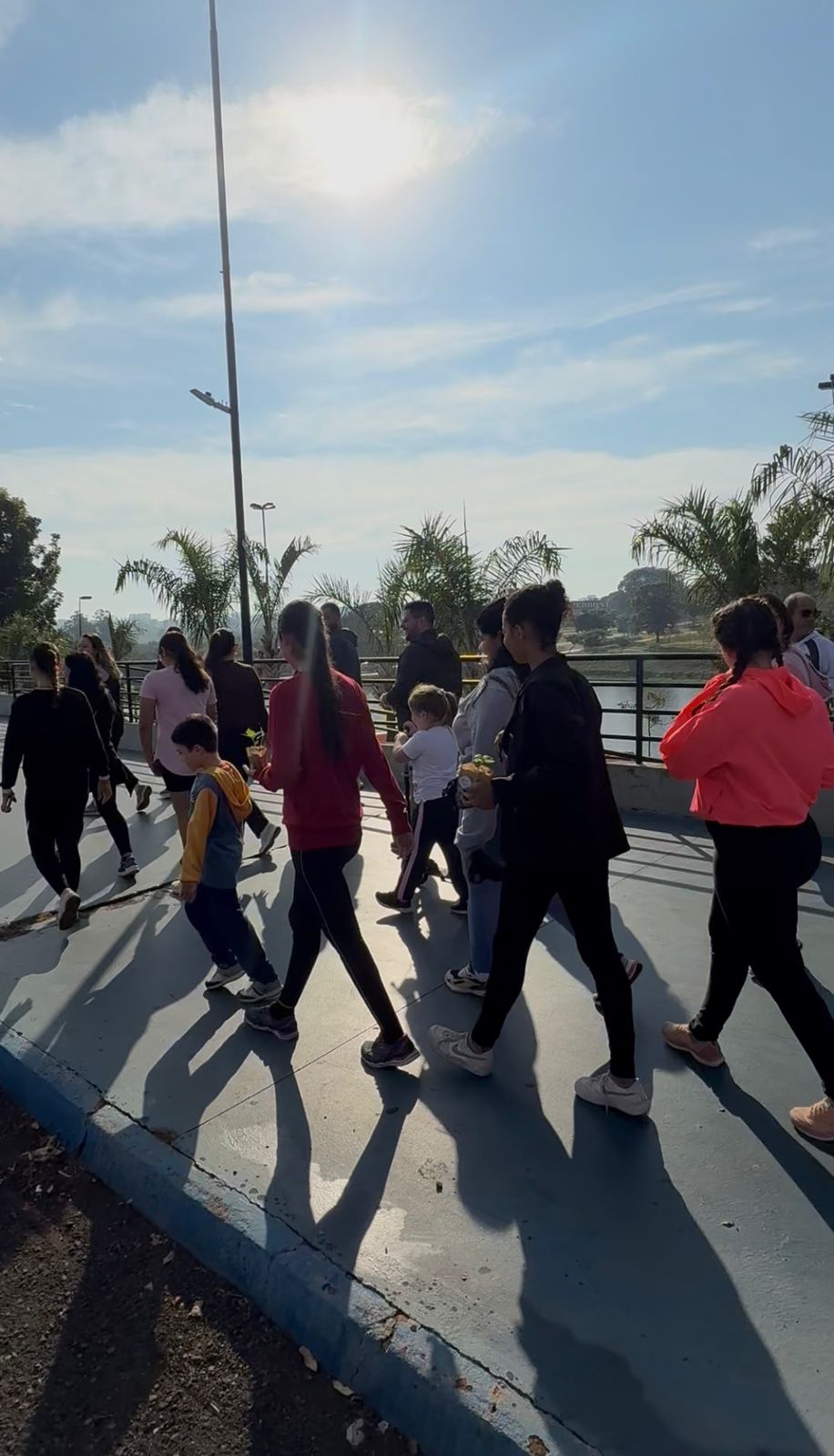 Saúde, comunidade e sustentabilidade: 3ª Caminhada Ecológica da Santa Casa transforma o Parque da Cultura
