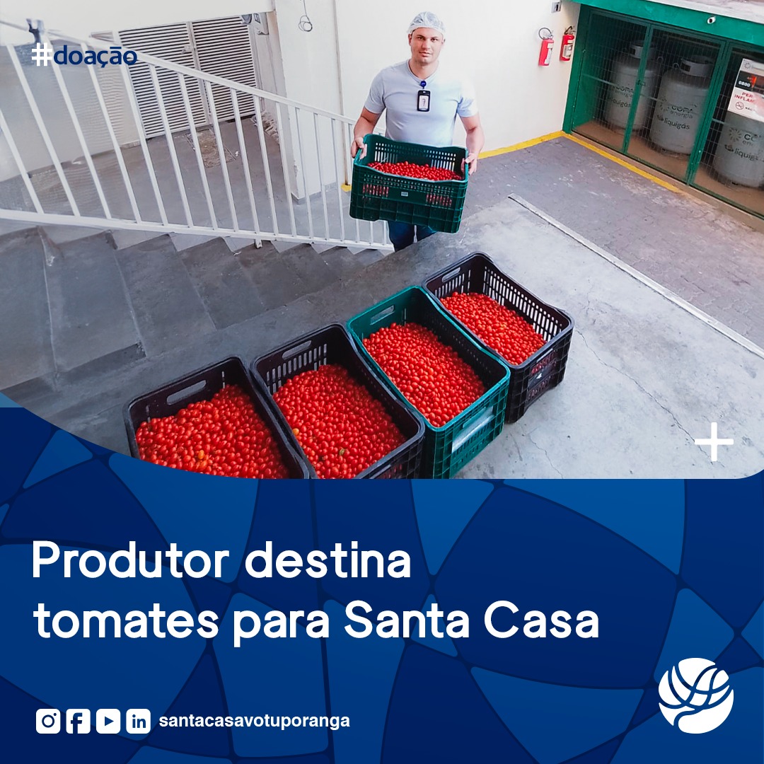 Produtor destina tomates para Santa Casa