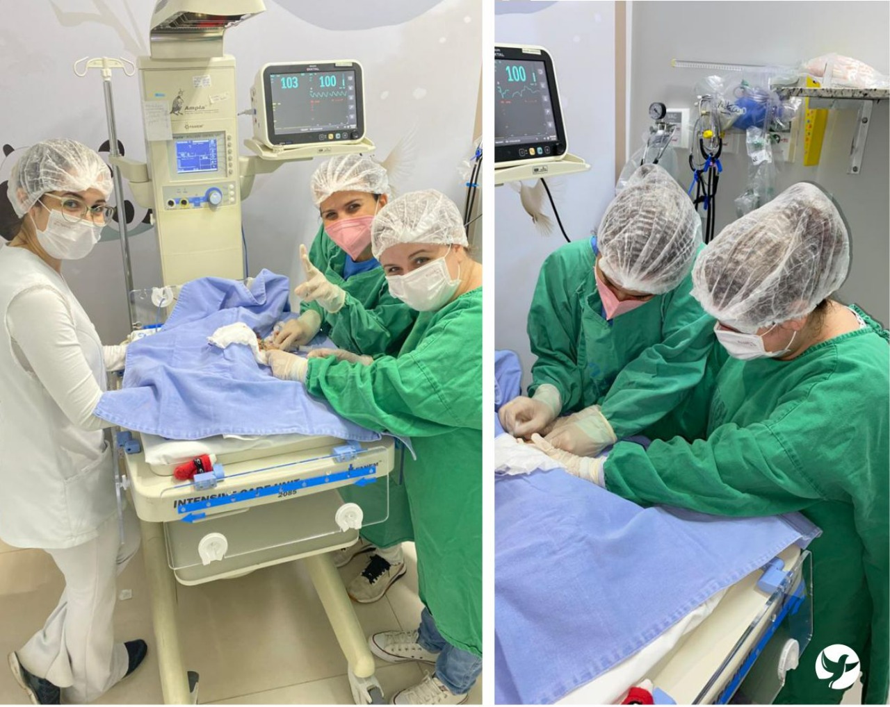 Enfermeiras da Santa Casa realizam procedimento em bebê de apenas um mês de vida