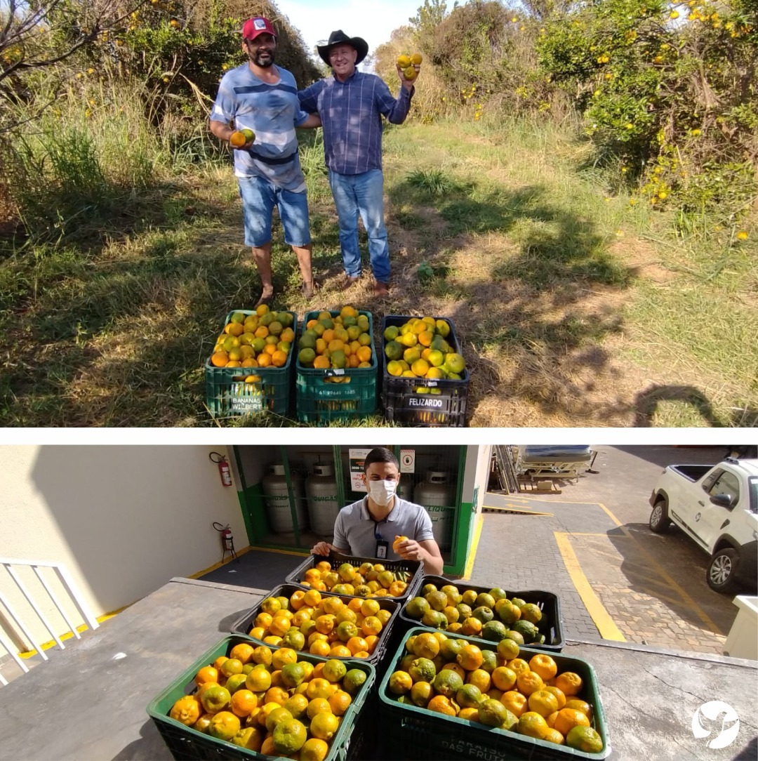 Produtor rural de Parisi faz doação de tangerinas para a Santa Casa